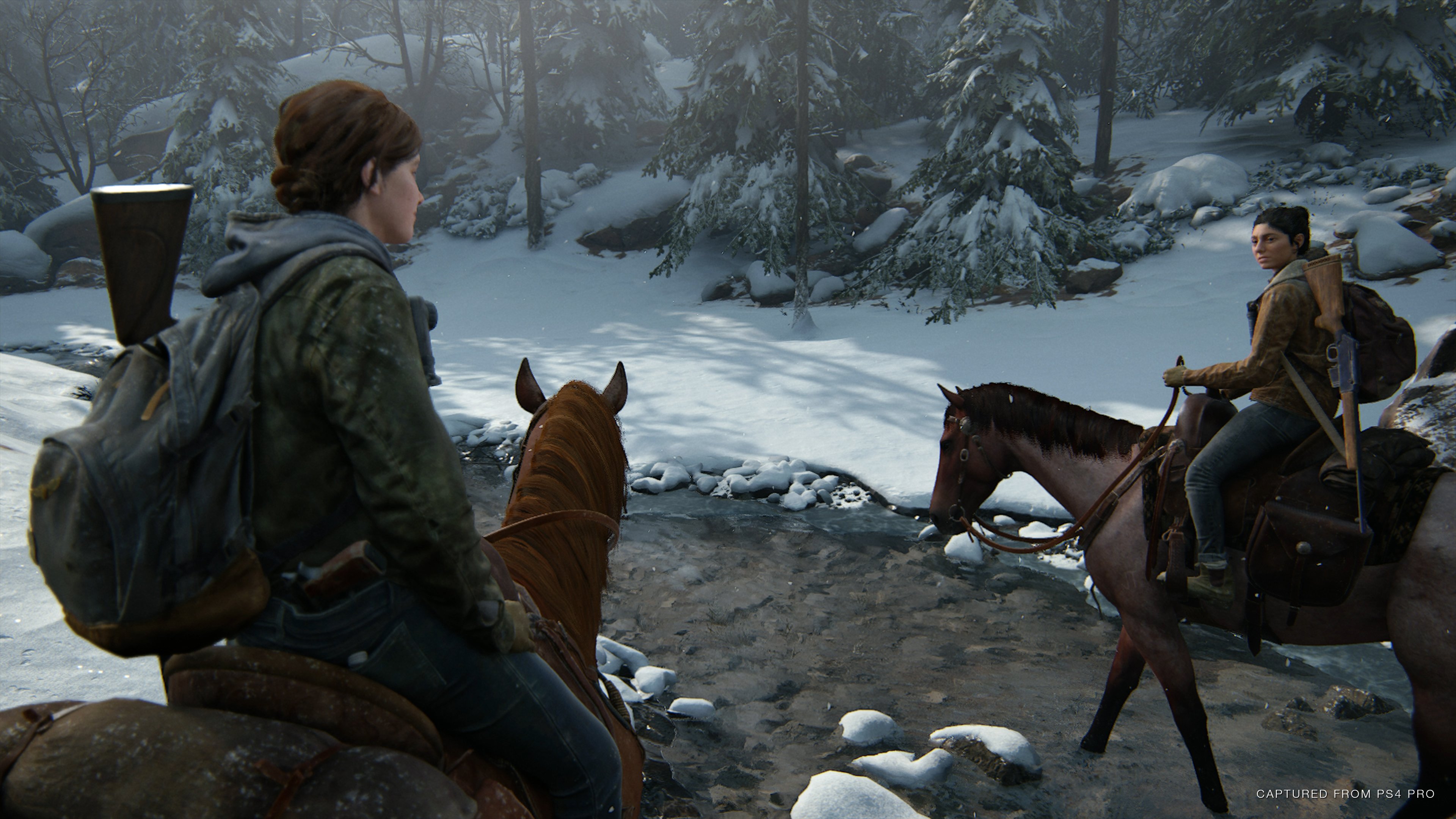 The Last of Us: Parte II - Imagen 27
